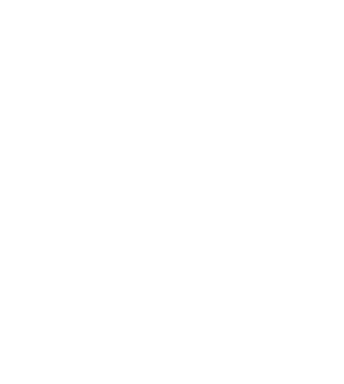Dénes Architects
